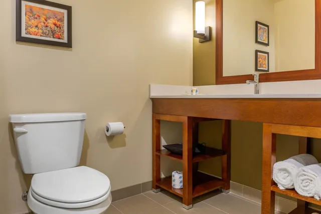 جناح بسرير كينج بغرفة نوم واحدة، Comfort Inn & Suites Gap Amish Country 5/5