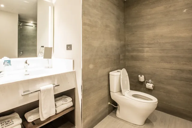 غرفة تقليدية بسرير كينج بإطلالة على المدينة، Four Points By Sheraton Puebla 5/5