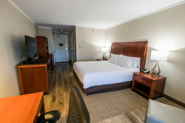 غرفة بسرير كينج، Hilton Garden Inn Bowling Green 3/4