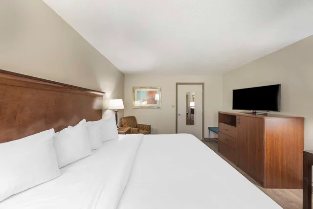 غرفة بسرير كينج يُسمح فيها بالحيوانات الأليفة لذوي الإعاقة، Best Western Athens Inn 1/4