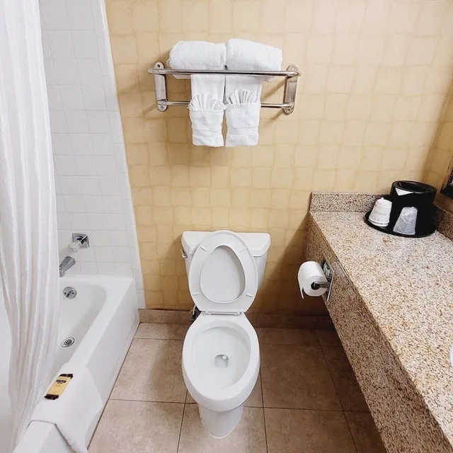 غرفة قياسية بسرير كينج بحوض استحمام لذوي الإعاقة، SureStay by Best Western Charlotte Matthews 6/8