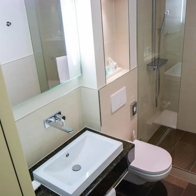 جناح جونيور ديلوكس بسرير كينج، HOTEL ST GOTTHARD 4/4