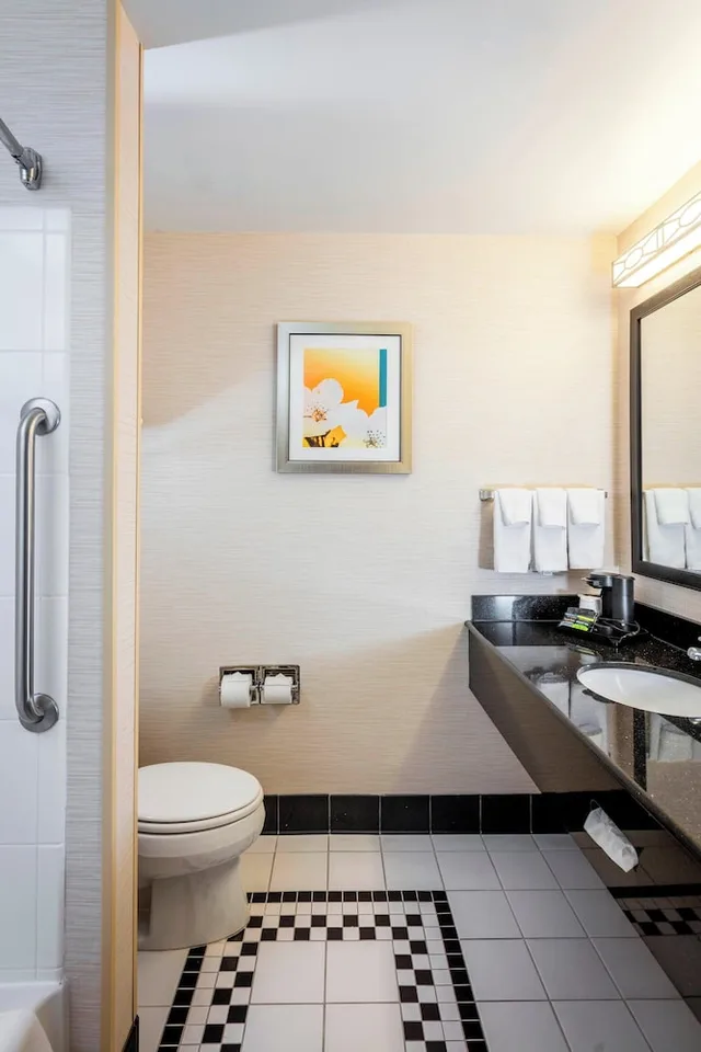 غرفة بسرير كينج لذوي الإعاقة، Fairfield Inn Suites Auburn Opelika 3/4