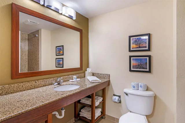 جناح بسريرين كوين لذوي الإعاقة، Comfort Suites Brunswick GA 3/3