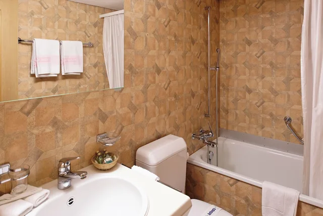 Small Double, Twin Beds، Hotel Alpenrose Wengen 4/4