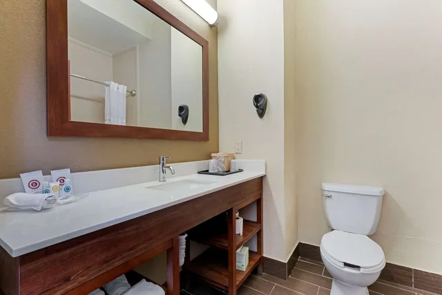 جناح بسرير كينج، Comfort Suites Gainesville, TX 3/3