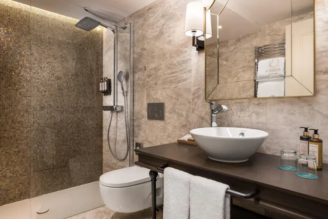 Classic, Double Bed, Aurea Casa Palacio Sagasta 5/5