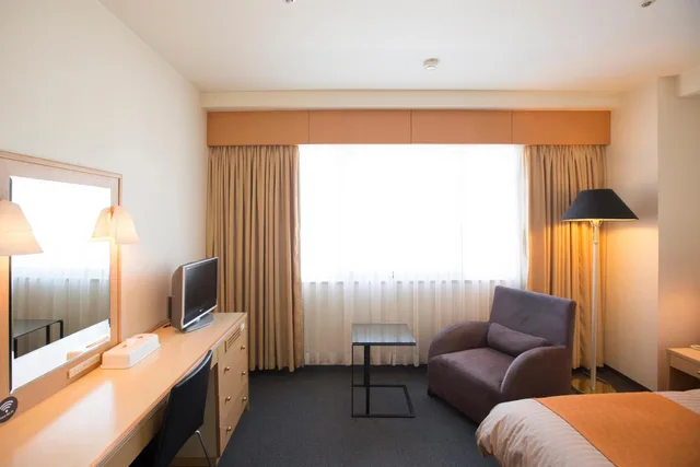 غرفة ديلوكس مفردة، Hotel Granmirage 3/4