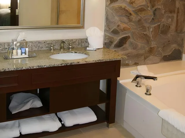 جناح رئاسي بسرير كينج بحوض جاكوزي، DoubleTree by Hilton Augusta 4/4