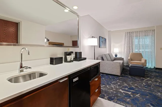 غرفة بسرير كينج بغرفة نوم واحدة مع أريكة لذوي الإعاقة، Embassy Suites By Hilton Tampa Usf Near Busch Gardens 6/6
