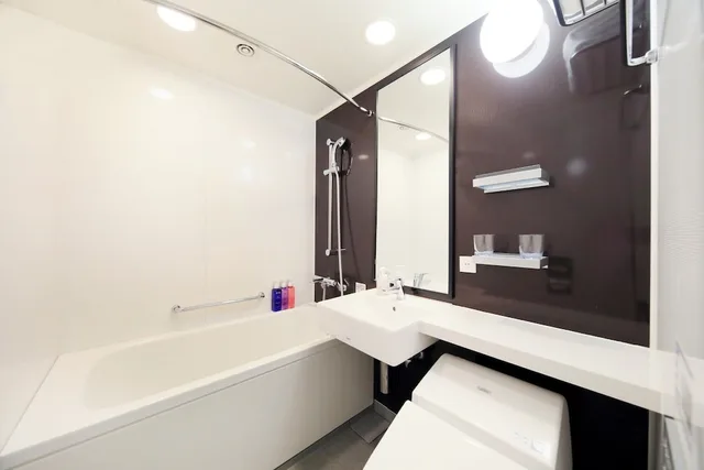 Moderate, Double Bed، Richmond Hotel Tokyo Suidobashi 2/4