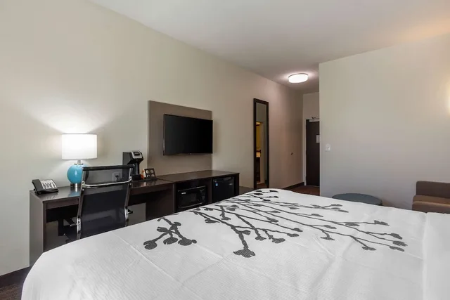 جناح بسرير كينج مع أريكة، Sleep Inn & Suites Tampa South 4/5