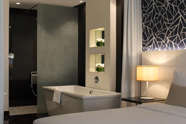غرفة قياسية، Radisson Blu Lagos Ikeja 4/5