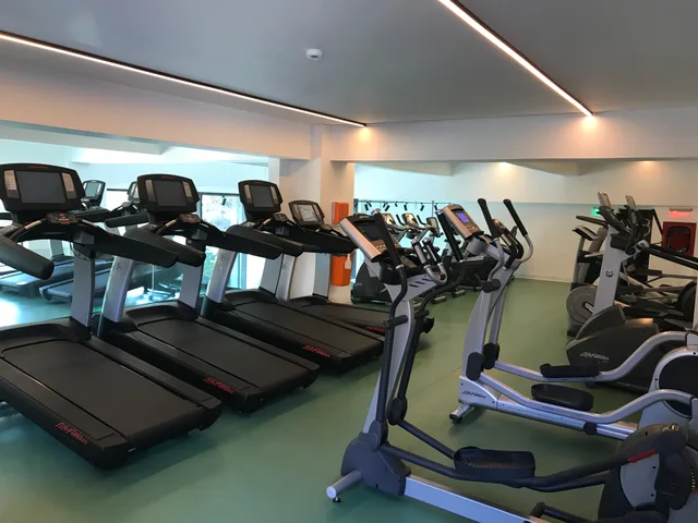 Penthouse Orhideea, Bucharest 22/38