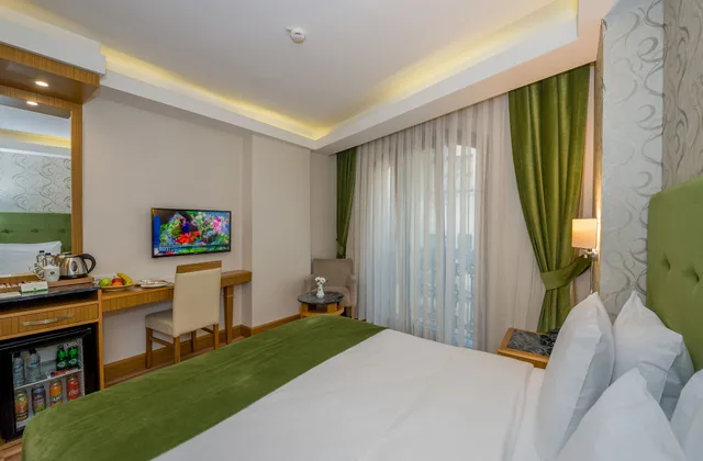 غرفة قياسية بسرير مزدوج أو سريرين منفصلين، Bizim Hotel 3/5
