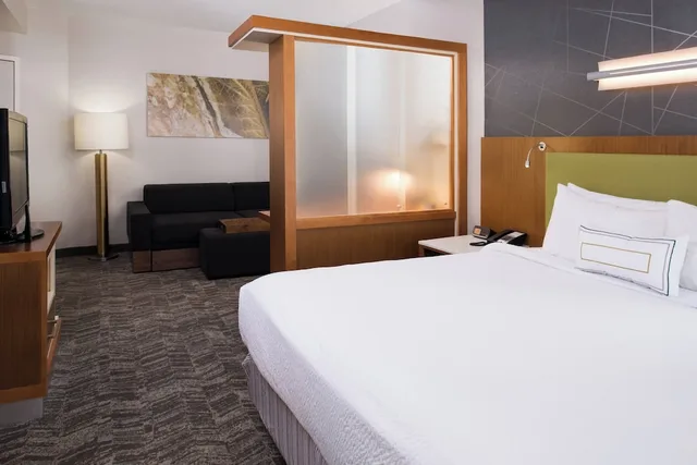 جناح بسرير كينج مع سرير سحّاب إضافي لذوي الإعاقة، SpringHill Suites Huntsville Downtown 1/7