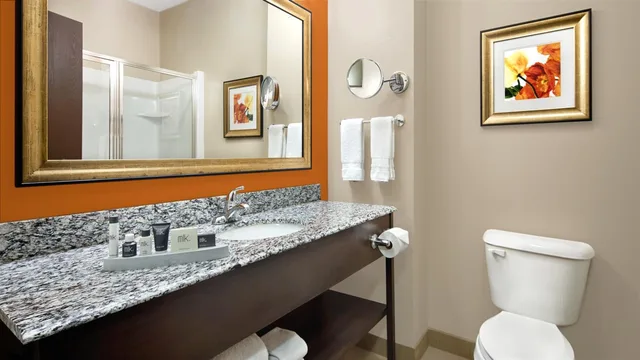 جناح بسرير كينج مع أريكة، Best Western Plus Washington Hotel 7/7