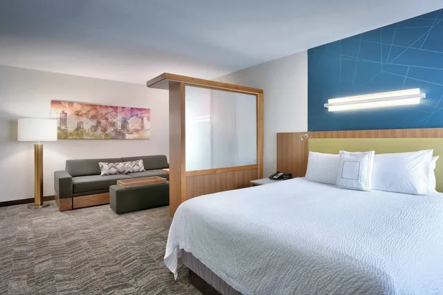 جناح بسرير كينج مع أريكة لذوي الإعاقة، Springhill Suites Salt Lake City Draper 2/10