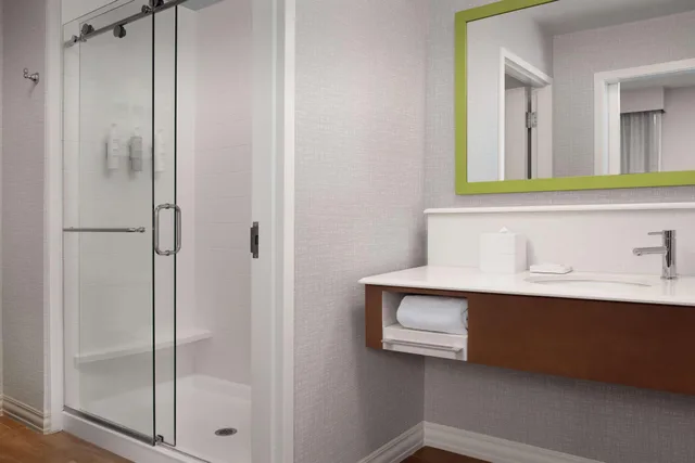 استوديو بسرير كينج مع أريكة لذوي الإعاقة، Hampton Inn & Suites Orangeburg 4/5