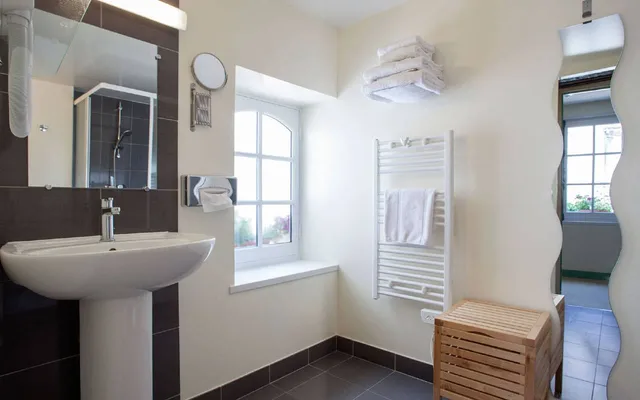 Standard, Single, Logis Hotel Le Puits Dore 2/2