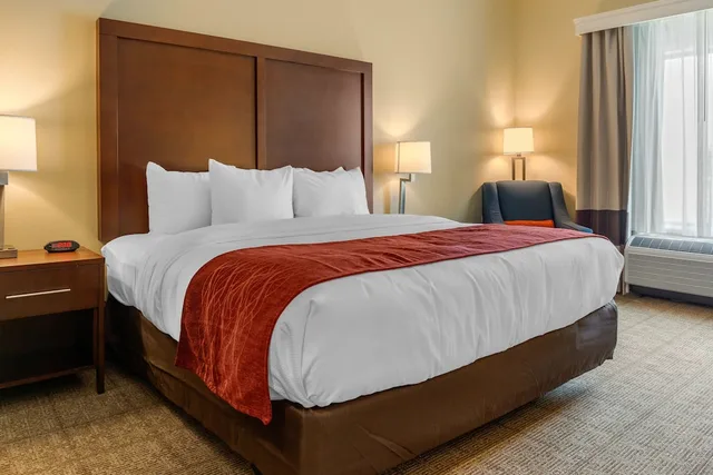 جناح بسرير كينج لذوي الإعاقة، Comfort Inn & Suites Gap Amish Country 4/6