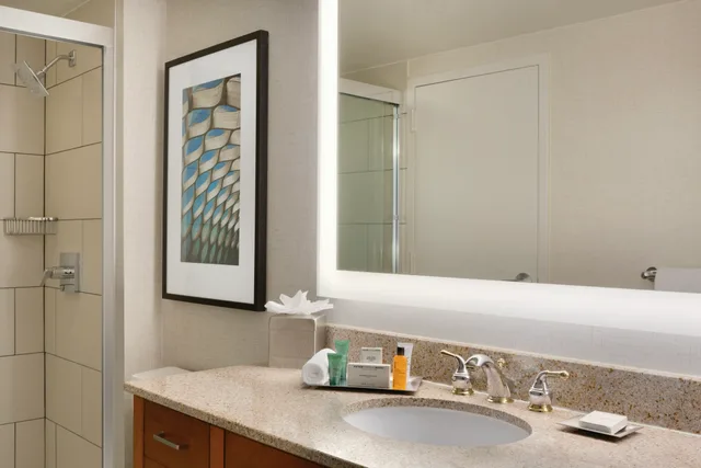 1 Bedroom, Superior, Suite, King Bed, Hilton Chicago Magnificent Mile Suites 2/2