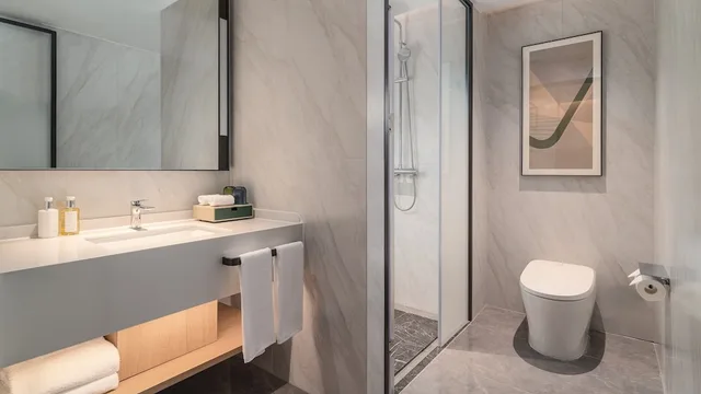 Holiday Inn Wuhu Jiangbei New Area by IHG، Wuhu 50/50