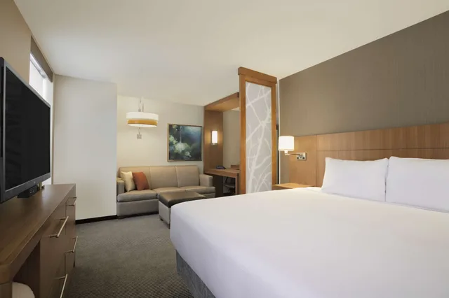 غرفة قياسية بسرير كينج، Hyatt Place Salt Lake City/Cottonwood 1/2