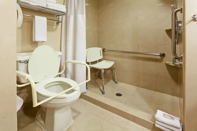 غرفة بسرير مزدوج لذوي الإعاقة، Crowne Plaza Torreon 5/5