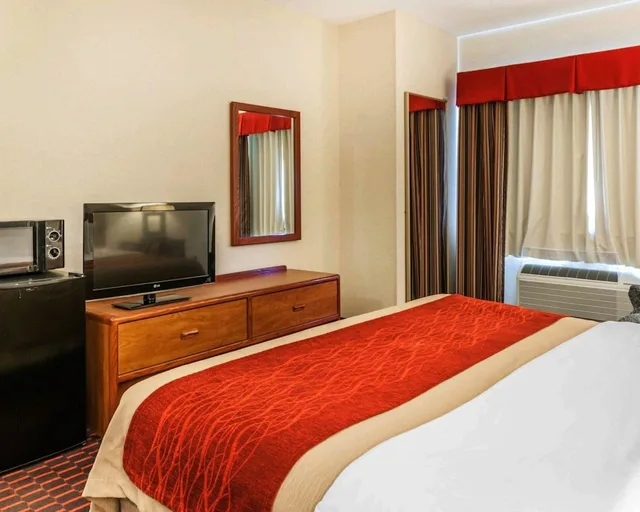 Standard, King Bed, Comfort Inn Avon-Indianapolis West 2/2