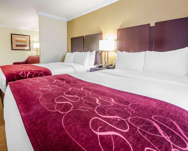 جناح بسريرين كوين، Comfort Suites Elizabethtown 3/6