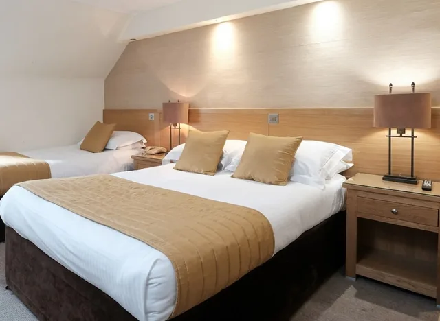 غرفة عائلية، The City Hotel 1/2