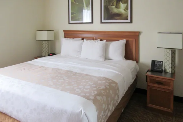 Room, King Bed, Sofa, Quality Inn & Suites Raleigh Durham Airport 3/9