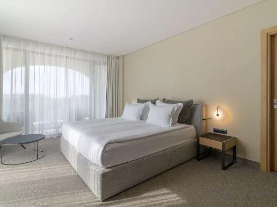 جناح بسرير كينج بغرفة نوم واحدة مع أريكة، Ensana Aquahouse Health Spa Hotel 1/1