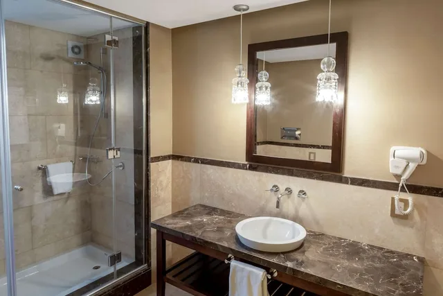 Vip, Suite, King Bed، Esplendor By Wyndham Buenos Aires Tango 2/3