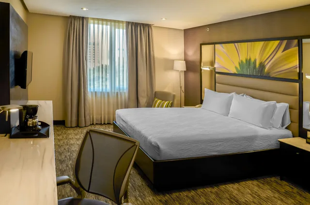 Room, King Bed, City View, Hilton Garden Inn Guatemala City 1/4