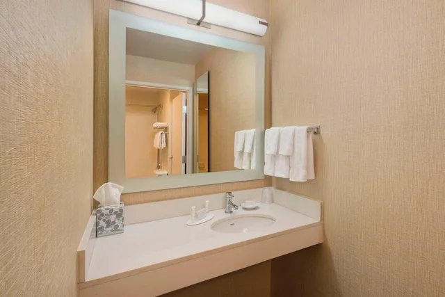 جناح بسرير كينج مع أريكة، SpringHill Suites by Marriott South Bend/Mishawaka 3/3