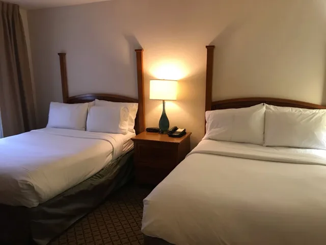 جناح بسريرين مزدوجين لذوي الإعاقة، Staybridge Allentown Bethlehem Airport Suites 5/10