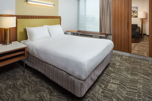 جناح استوديو بسرير كينج مع سرير سحّاب إضافي لذوي الإعاقة، SpringHill Suites Philadelphia Airport/Ridley Park 2/3