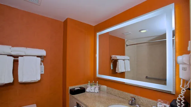 جناح بغرفة نوم واحدة، Holiday Inn Express And Suites Duluth Mall Area 2/2