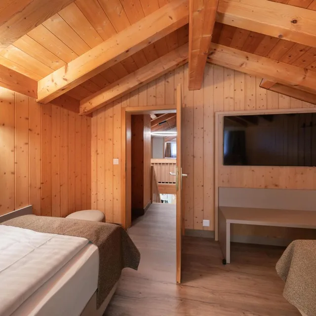 First, Suite, Apartment، Grindelwalderhof 7/10