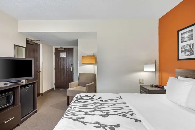 غرفة قياسية بسرير كوين، Sleep Inn DeWitt - Lansing North 3/8