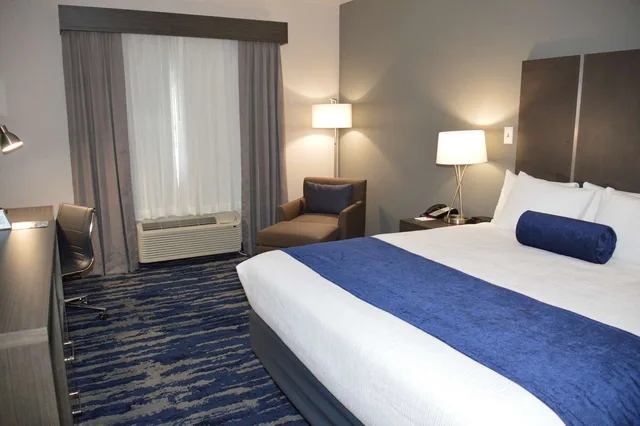 غرفة بسرير كينج لذوي الإعاقة، Garner Hotel Longview South by IHG 1/2