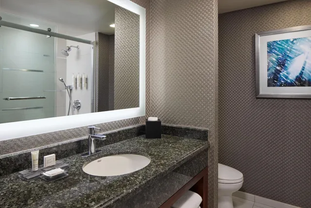جناح جونيور بغرفة نوم واحدة، Crystal Gateway Marriott 4/4