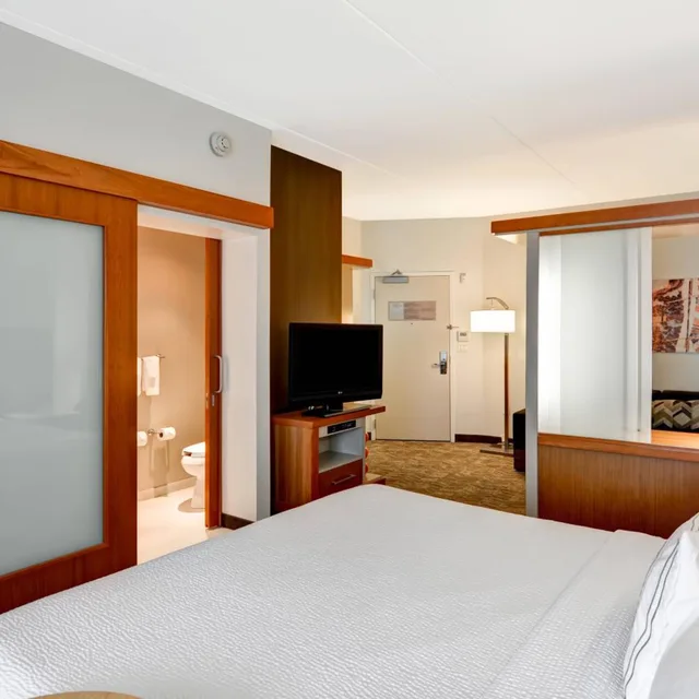 جناح بسرير كينج مع سرير سحّاب إضافي مع أريكة، Springhill Suites Cincinnati Airport South 1/5