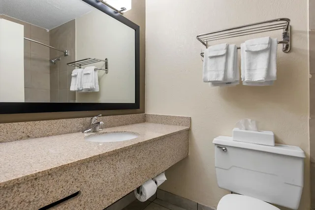 Room, King Bed, Bath and Shower, Accessible، Quality Inn Suites Lafayette I 65 1/1