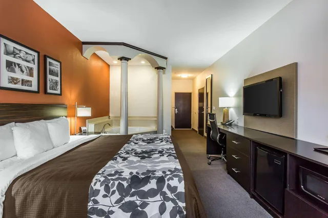 غرفة بسرير مزدوج، Sleep Inn & Suites Lubbock West 1/3
