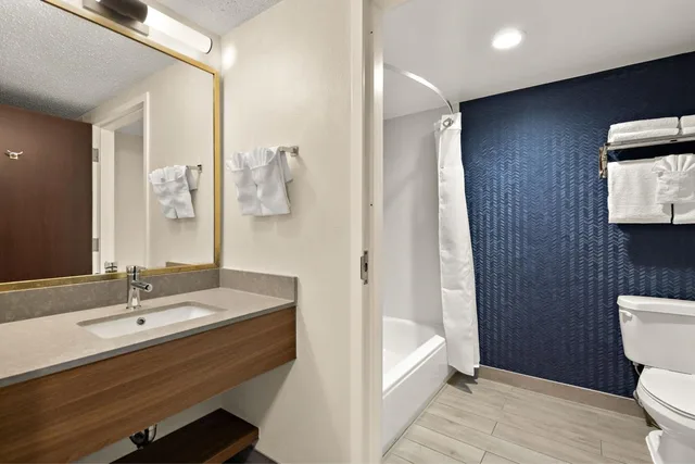 غرفة بسرير كينج بحوض استحمام لذوي الإعاقة، Fairfield Inn And Suites By Marriott Chesapeake 10/10