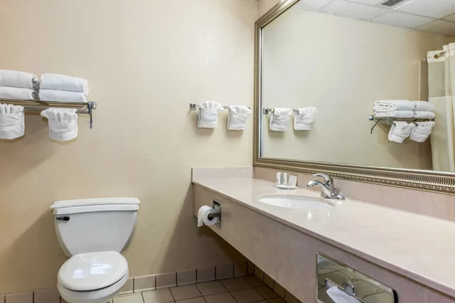 جناح بسرير كينج مع أريكة، Clarion Inn & Suites Indianapolis Northwest 4/4