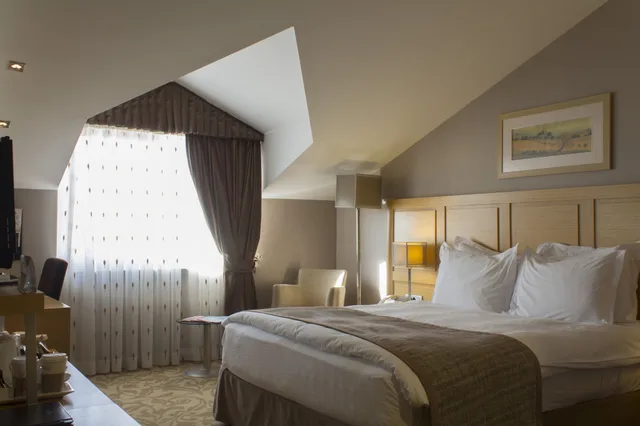 Roof, Standard, Double Bed، Bilkent Hotel And Conference Center Ankara 2/4